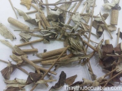 H&igrave;nh ảnh khổ s&acirc;m